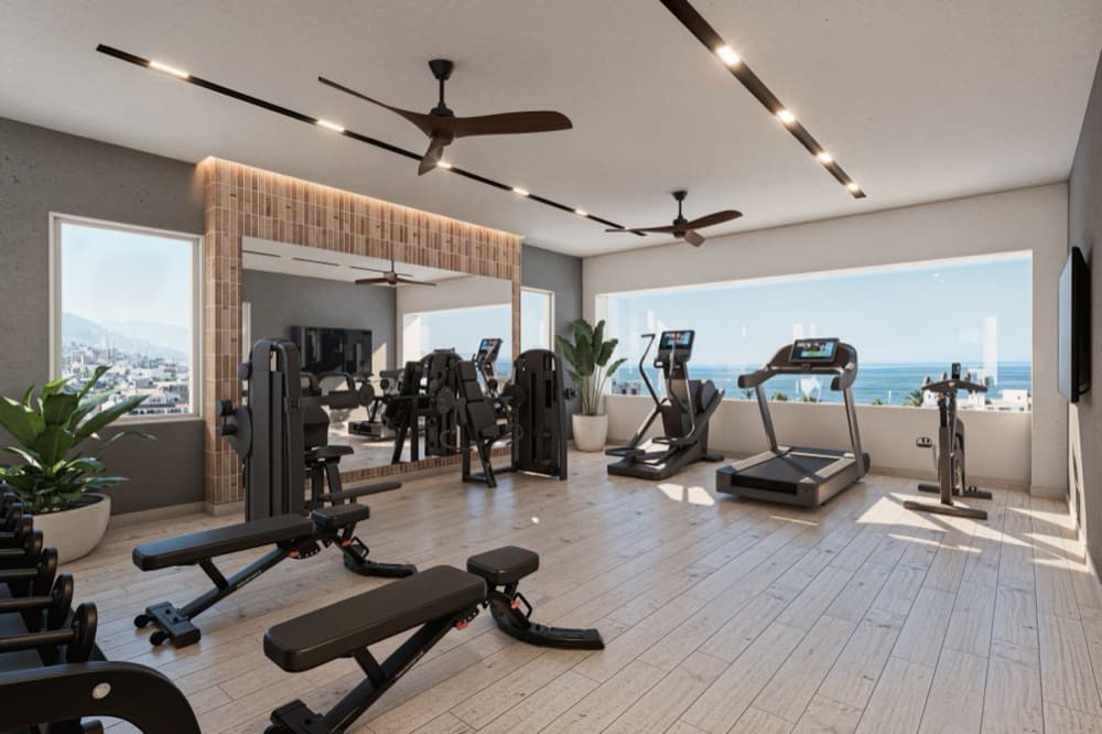 Gimnasio
